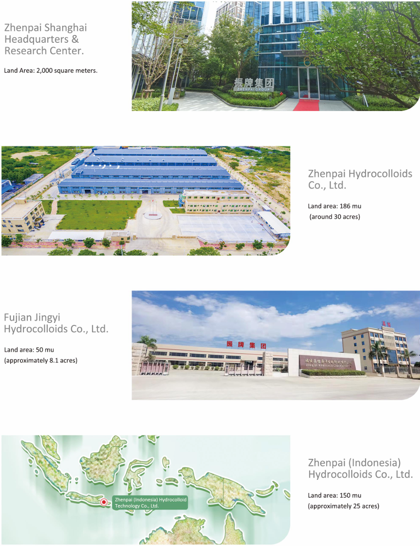 组织架构ENG.png